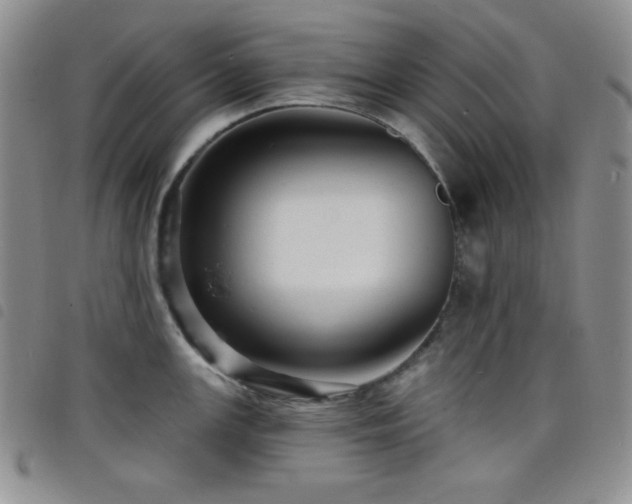 X0000098201147200804241246