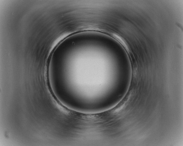 X0000098201149200804241246