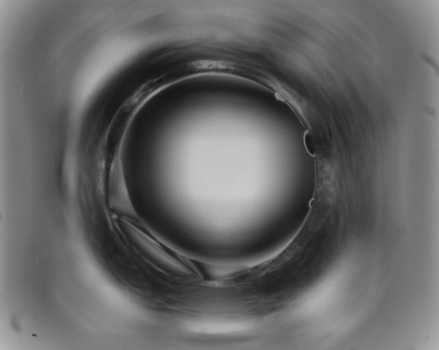 X0000098201151200804241247