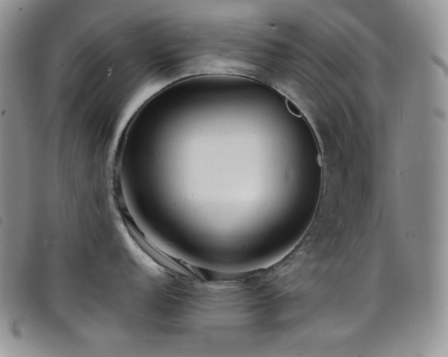 X0000098201152200804241247