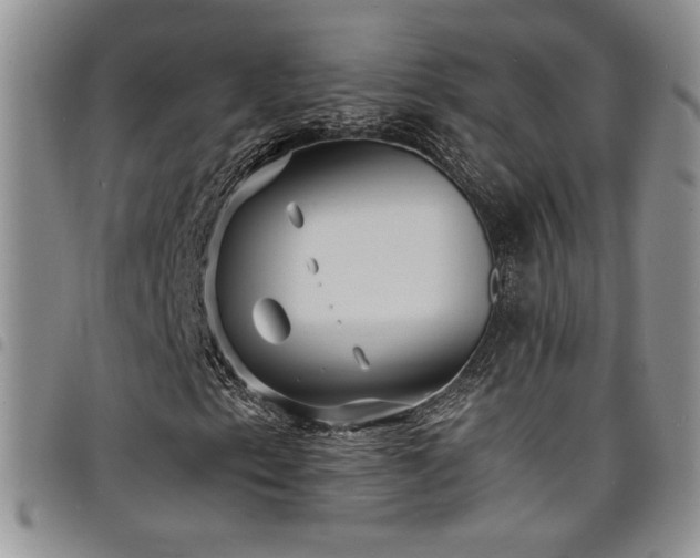 X0000098201153200804241246