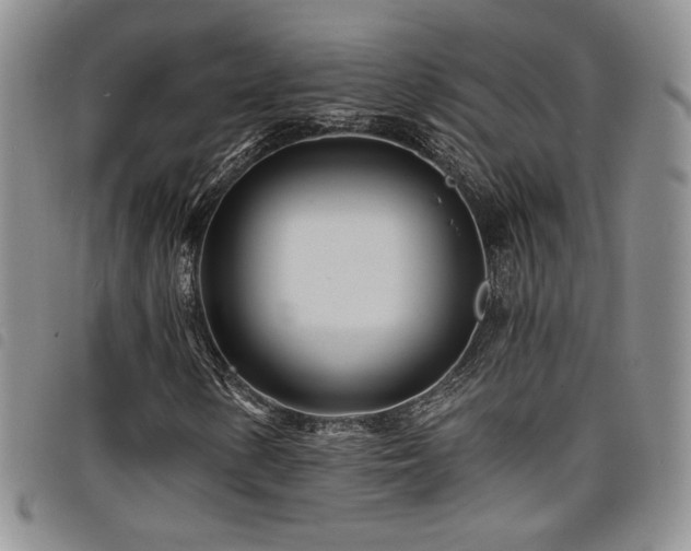 X0000098201154200804241246