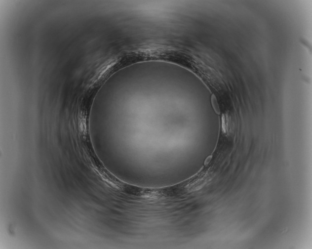 X0000098201155200804241246