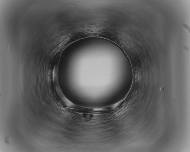 X0000098201156200804241246