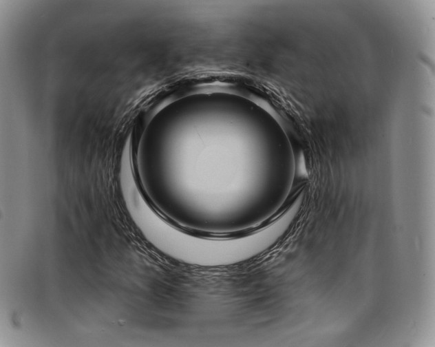 X0000098201157200804241246