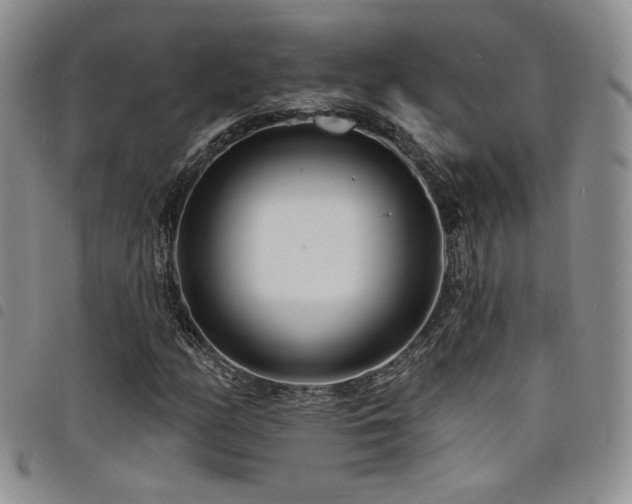 X0000098201158200804241246