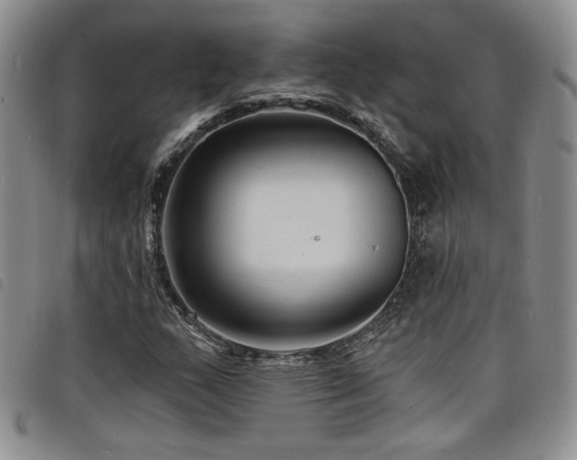 X0000098201159200804241246