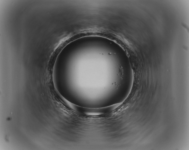 X0000098201160200804241246