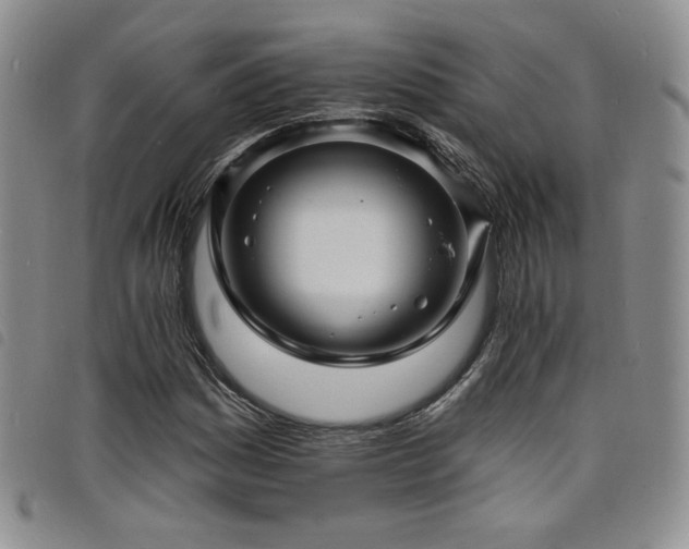 X0000098201161200804241246