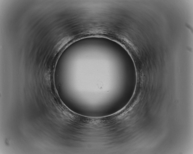 X0000098201162200804241246
