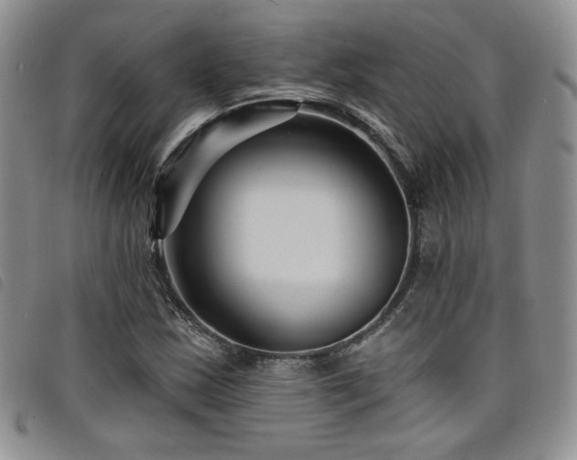 X0000098201163200804241246