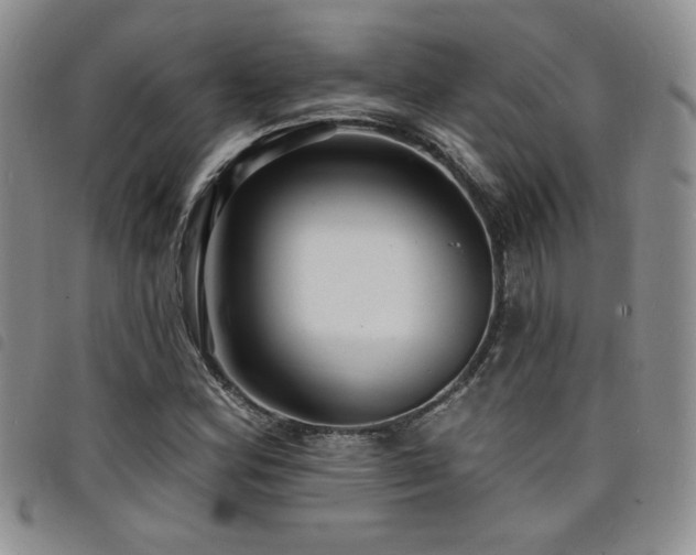 X0000098201164200804241246