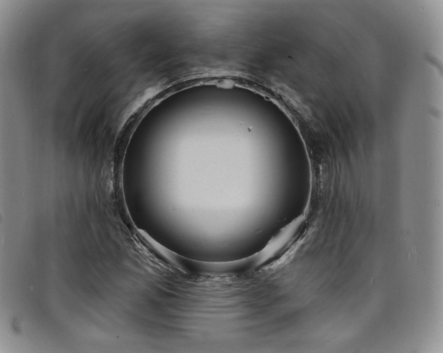 X0000098201165200804241246