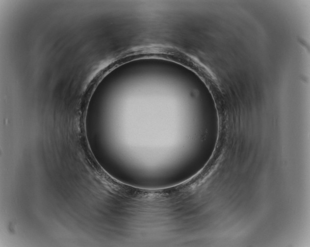 X0000098201166200804241246