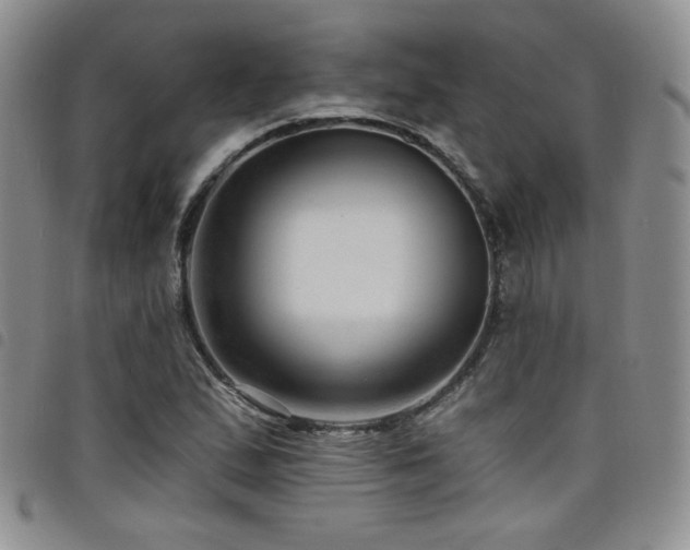 X0000098201167200804241246