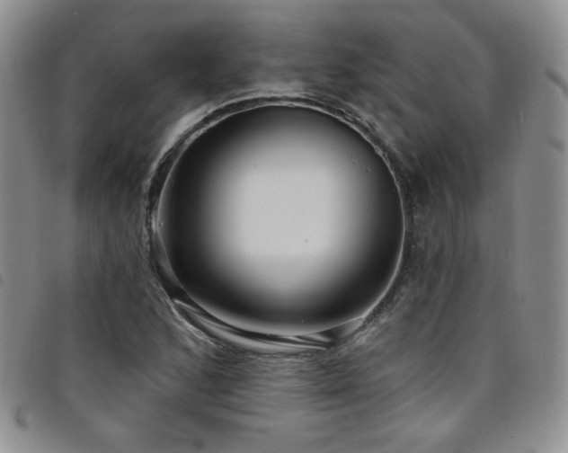 X0000098201168200804241246
