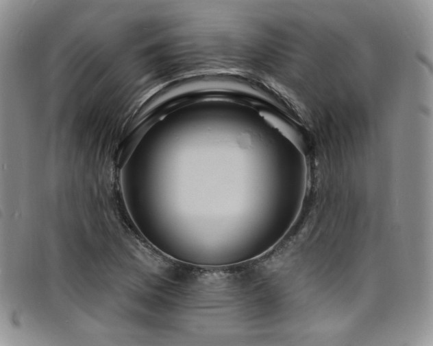 X0000098201169200804241246