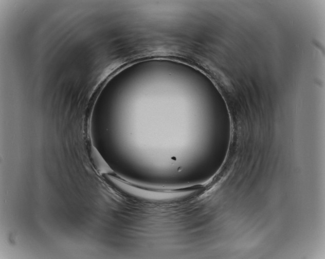 X0000098201170200804241246