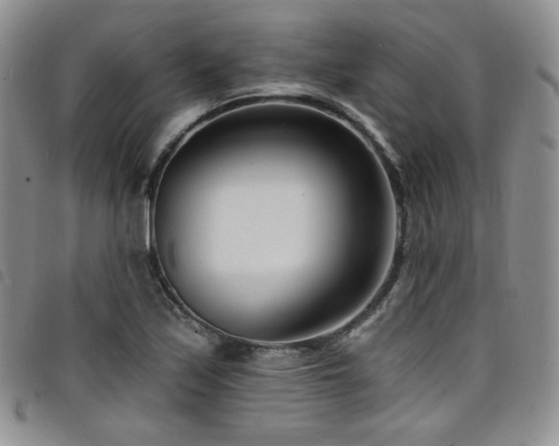 X0000098201171200804241246