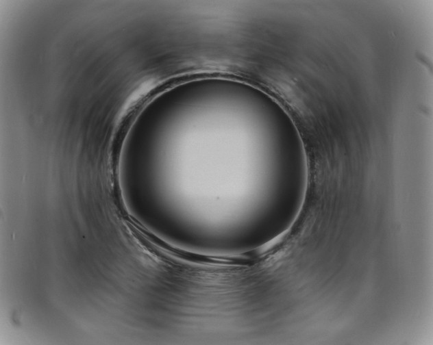 X0000098201172200804241246