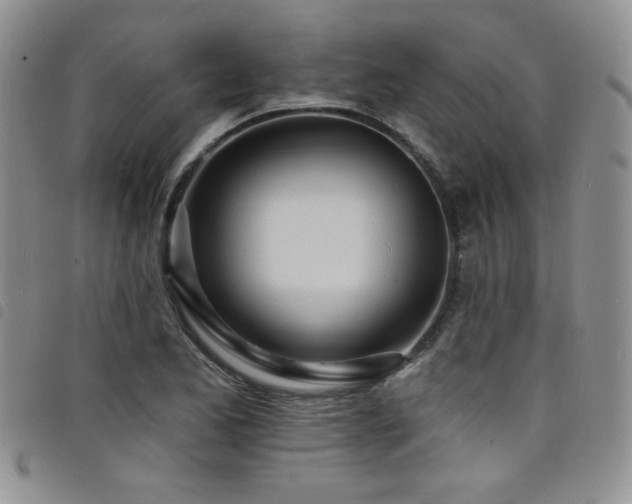 X0000098201173200804241246