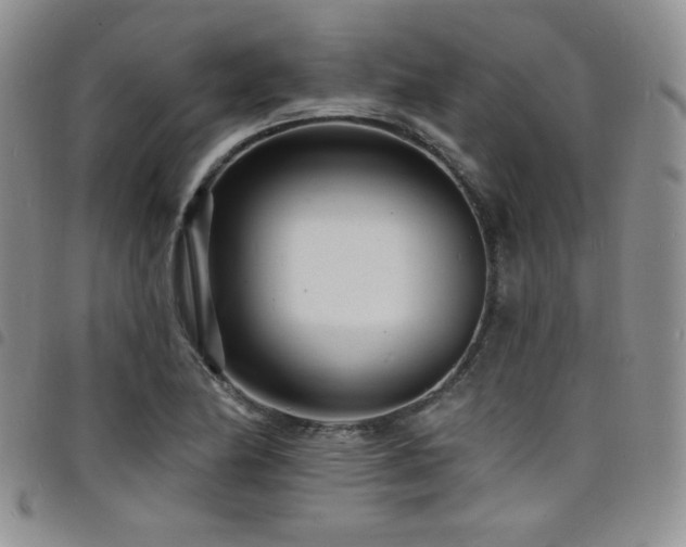 X0000098201174200804241246