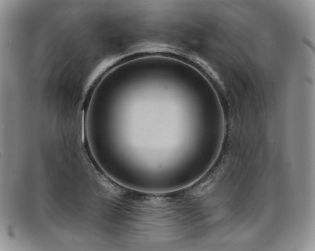 X0000098201175200804241246
