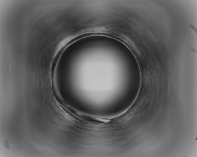 X0000098201176200804241246