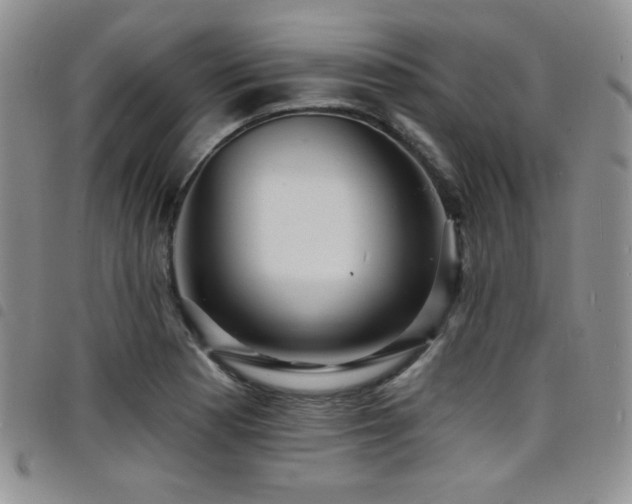 X0000098201177200804241246