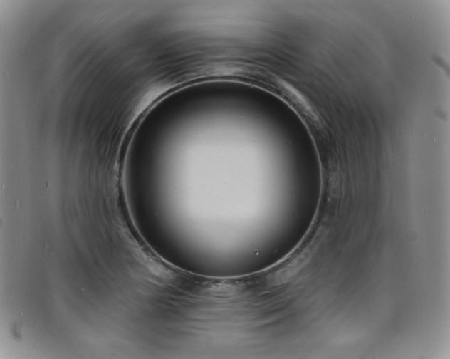 X0000098201178200804241246