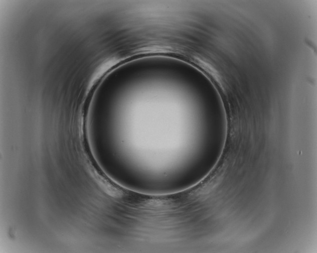 X0000098201179200804241245