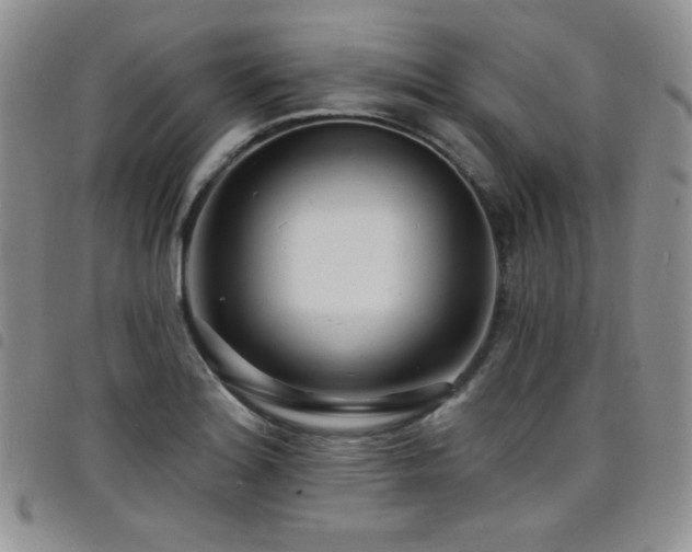 X0000098201180200804241245