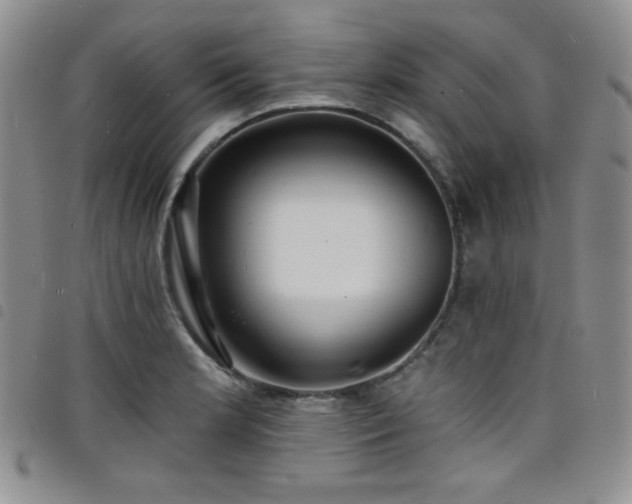X0000098201181200804241245