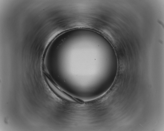 X0000098201182200804241245