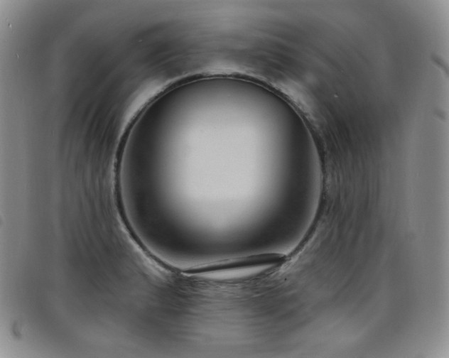 X0000098201183200804241245