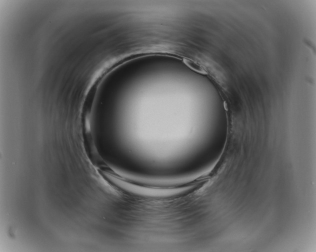X0000098201184200804241245