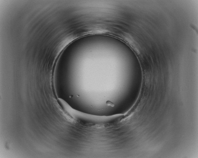 X0000098201186200804241245