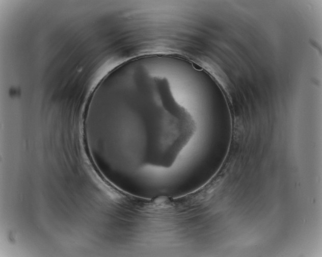 X0000098201187200804241245