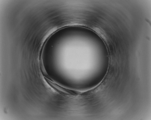 X0000098201189200804241245