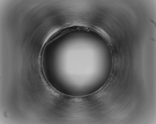 X0000098201190200804241245