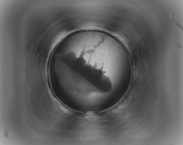 X0000098201191200804241245