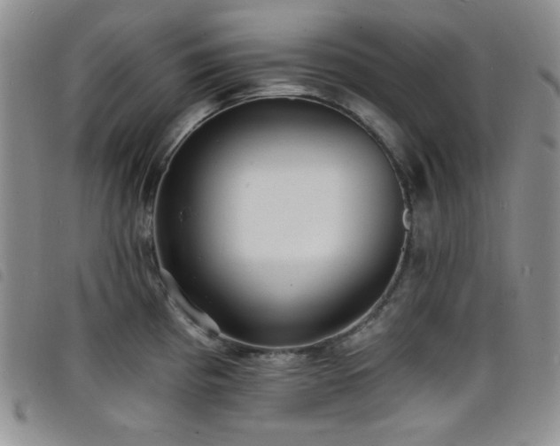 X0000098201193200804241245
