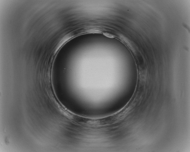 X0000098201194200804241245
