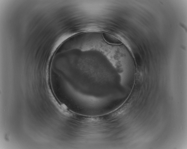 X0000098201195200804241245