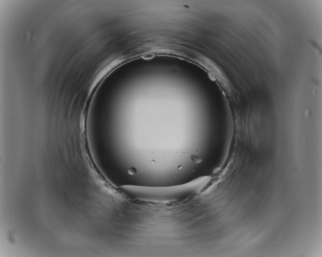 X0000098201198200804241245