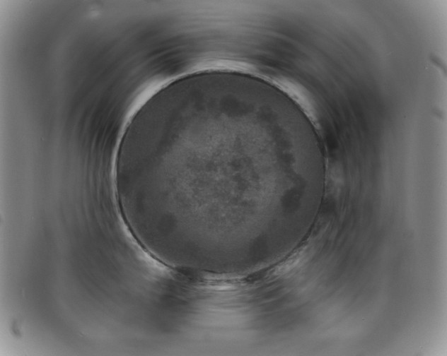 X0000098201199200804241245
