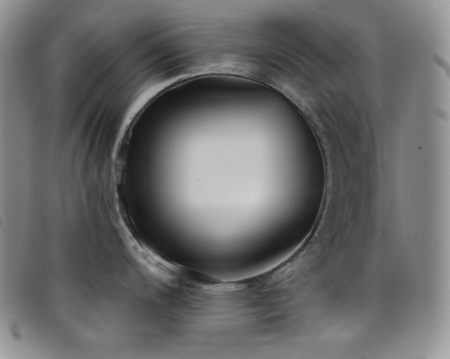 X0000098201200200804241245