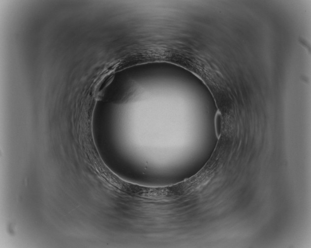 X0000098201201200804241244