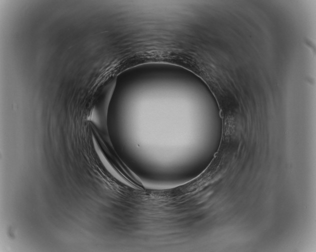 X0000098201202200804241244