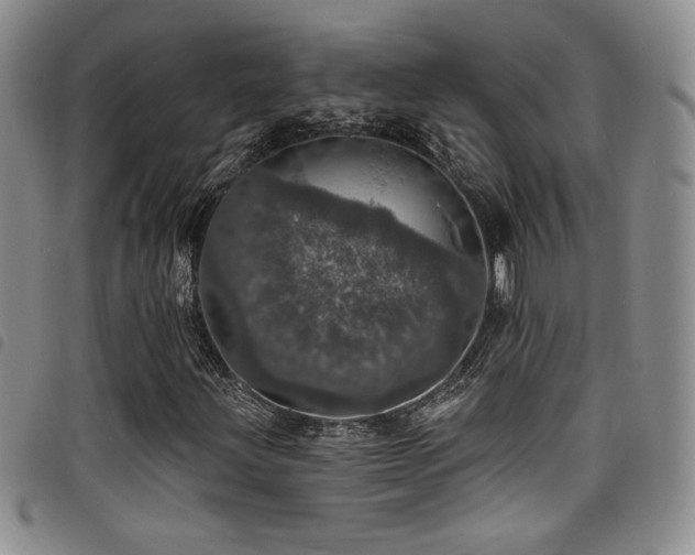 X0000098201203200804241244